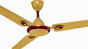 Fans & Appliances